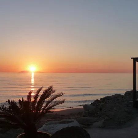 Отель Pineto 3*