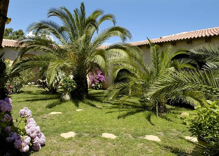 Pineto Biguglia (Corsica)