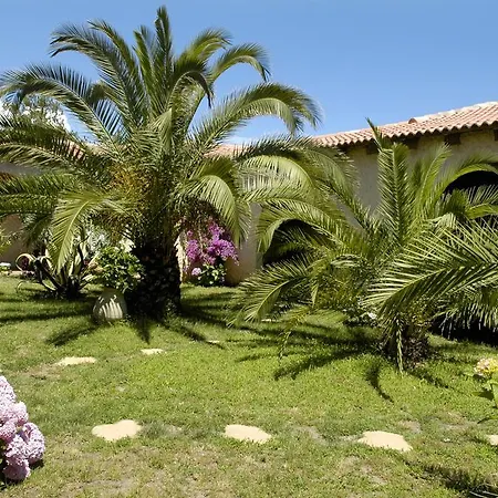 Pineto Biguglia (Corsica)