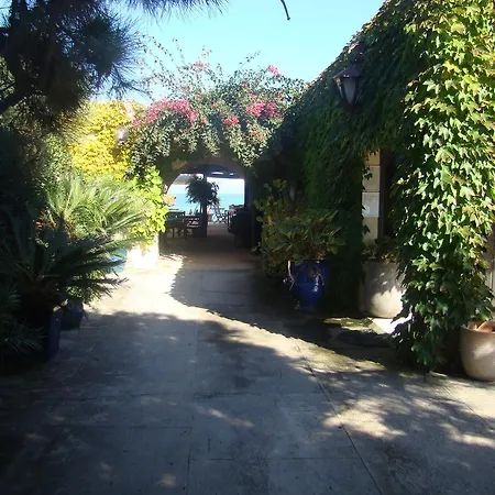 Pineto