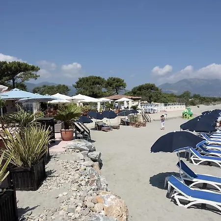 Pineto Biguglia (Corsica)