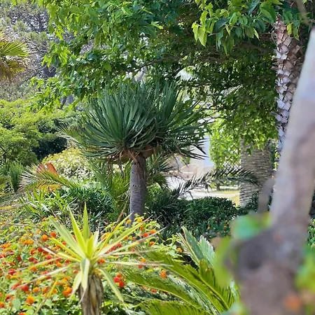 Hotel Pineto